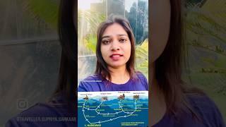 Char Dham Yatra 2024 | Kedarnath Yatra Registration | Uttarakhand |Traveller Supriya Sarkaar #shorts