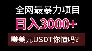 赚钱方法2023，国外赚钱项目有哪些，灰产链，全网最长期最真实的月入10万+项目