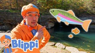 Blippi Learns How To FISH!  | Blippi | Moonbug Kids - Fun Zone