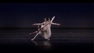 Sleeping Beauty Pas de Deux 2019 NY Finals, 2nd Place