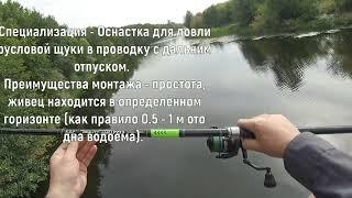 Карповые штекерные удилища Reality Carp