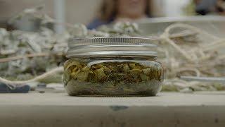 The Making of Traditional Plant Medicine | Tending Nature | KCET