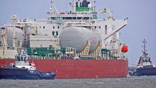 11 AMAZING SHIPS ARRIVALS AND DEPARTURES AT ROTTERDAM PORT - 4K SHIPSPOTTING JUNE 2024