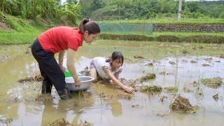 30 Day and Night Journey Harvest Fish with Daughter Goes To Market Sell - Cooking - Hanna Daily Life