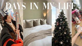 VLOG: days in my life in NYC! home updates!! + christmas decor + life catch up!!