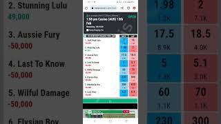 How To Play Grayhound Race Betpro Exchange Online Betting Tips And Tricks By Waris