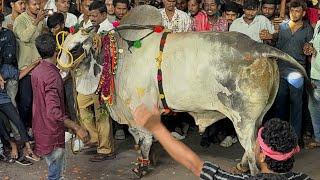 #Narayanguda Sadar Sayyata 2024 | Bull Lifting With Hands | Ongole Gitta At #Narayanguda Sadar 2024