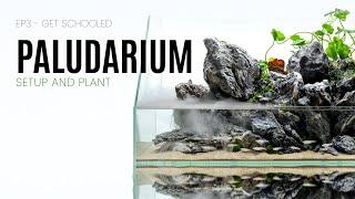 Paludarium Plant and Setup - EP3 Get Schooled