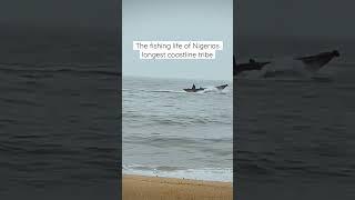 Fishing life of Nigerias longest coastline tribe  https://youtu.be/qhD2DzAEtXc