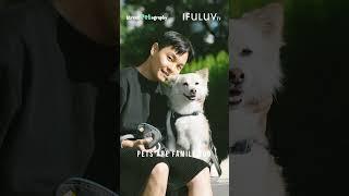 [IFULUV 이퓨럽] STREET PET-OGRAPHY 008 (스트릿 펫토그래피) #강아지산책 #강아지 #이퓨럽 #이퓨럽TV #ifuluv #ifuluvtv  @IFULUVTV