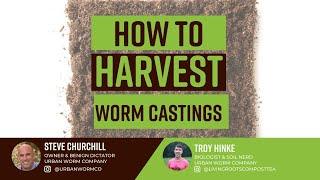 Harvesting Worm Castings