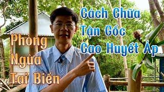 Cách chữa Tận gốc bệnh Cao Huyết Áp và Phòng ngừa Tai Biến mạch máu não Hiệu quả?