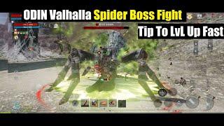 Odin Valhalla Rising Spider Boss Fight & Tips + How To Level Up Fast!