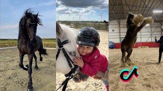 The Real HORSE TikTok Compilation for 2024 #