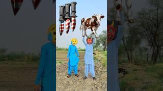 Bakra lari Bado Badi#trending​ #shorts​ #islamic #islamicvfx​ #islamicvfxshorts​ #video​