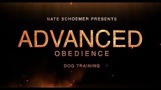 Nate Schoemer's Dog Training School - Advanced Obedience Program