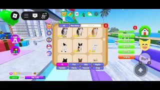 Turned Into A Cat  on Roblox Creator Hub: Music Charts