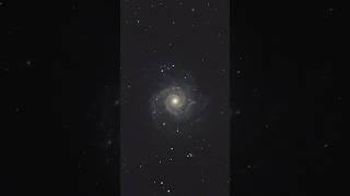 Phantom Galaxy (m74) through an 11” telescope #phantomgalaxy #M74 #space #telescope