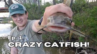 CRAZY Catfish (NEW PB!!!) - Ambitious Anglers Episode 1