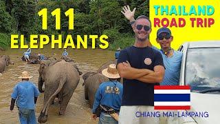 Thailand Road Trip Begins Here - Chiang Mai to Lampang (Elephant Conservation Center)