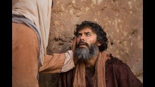 The Miracles Of Jesus Christ