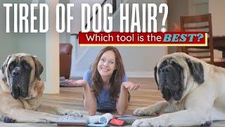 Which Pet Hair Remover Is the BEST? 7 Top Products Put To the TEST! [ULTIMATE BUYERS GUIDE]