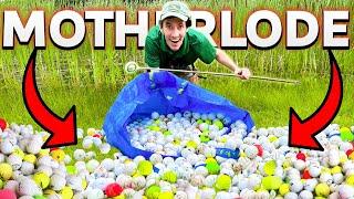 Hunting for RARE Golf Balls on a Premium New England Golf Course!