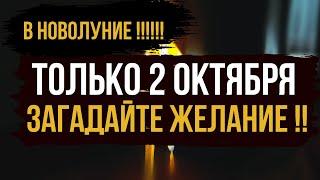 🪐 Только 2 октября: Новолуние и исполнение заветных желаний