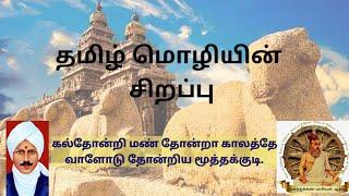 தமிழ் மொழியின் சிறப்பு//அமுதே தமிழே அழகிய மொழியே - பாடல் வரிகள்//