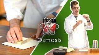 Osmosis - GCSE Science Required Practical