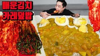 매운 김치 맛있는 카레 먹방 korean curry spicy kimchi mukbang eating show