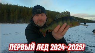 Первый ЛЁД 2024-2025. ОТЛИЧНЫЙ окунь на БЛЕСНУ и РАТЛИН!