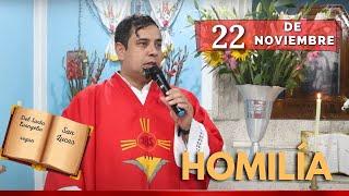 EVANGELIO DE HOY viernes 22 de noviembre del 2024 - Padre Arturo Cornejo