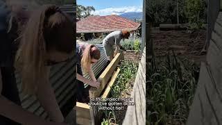 we finally finished the retaining wall!!! #backyardgarden #gardening #garden #homegardening #grow