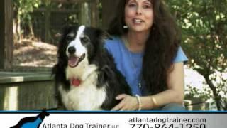 Atlanta Dog Trainer