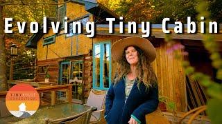 She built $5k Tiny House now a Not-So-Tiny Cabin & teaches others how