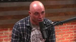 Joe Rogan on Ego Death