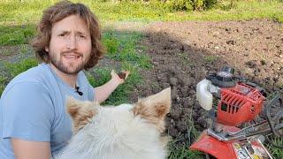 Does no-dig growing really work? How To Manage Your Soil!