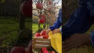 Not all apples are cursed… This one turned into magic  apple pie#shorts #trending #food