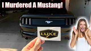 Luxe Auto Concepts 15+ Mustang Tail Light And Headlight Tint Kit Install (Dark Smoke) ️