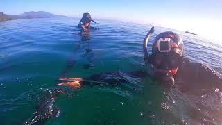 Stewart Island diving, F21 Fisher - Deep South Spearo Adventures