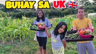 GANITO ANG BUHAY NG BIMBO CORNEJO FAMILY SA UK