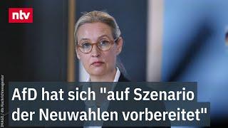 Weidel nach Ampel-Aus: AfD hat sich "auf Szenario der Neuwahlen vorbereitet" | ntv