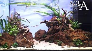 Aquascaping Lab - Tutorial Natural Aquarium Volcanic rocks "Red Passion" (size 80x50x40h 160L)