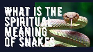 The Spiritual Meaning Of Snakes . Symbolic Meaning Snake ! Just Amazing!