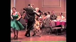 Mayo Alanen - Big Brothers Big Sisters of El Paso Dance For Kids Sake Video