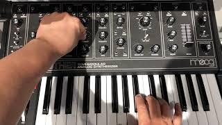 Moog GRANDMOTHER DARK by MARKS