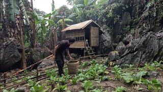 30 days of adventure in the forest, building a shelter and a beautiful vegetable garden