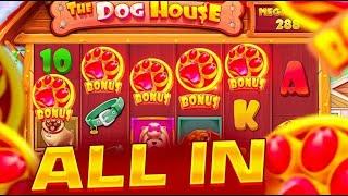 КАКОЙ The Dog House  ЛУЧШЕ?!  БОНУСКА ALL IN ЗА 800К! В СЛОТЕ The Dog House Megaways / ЗАНОС ?