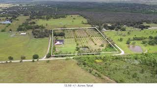 Martin County Lychee Grove